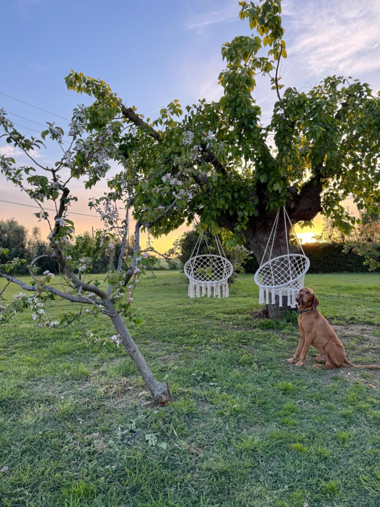Agriturismo Le Grange Numana Bagian luar foto